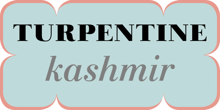 폰트 Linotype Gianotten